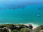 Daily Trips &  Private Tours